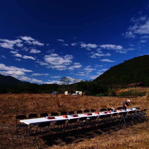 稻田餐桌